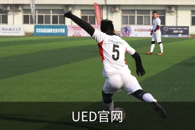 UED官网公司简介图片